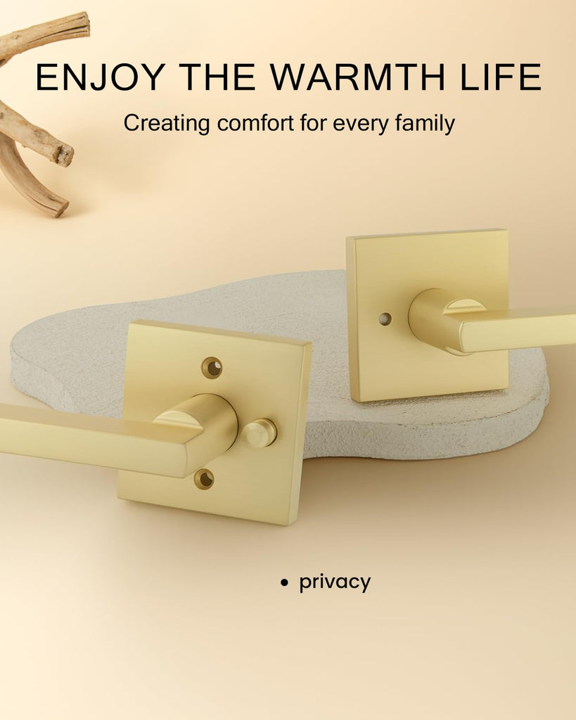 Brushed Gold Door Handles Interior, Gold Privacy Door Handle, 1 Pack