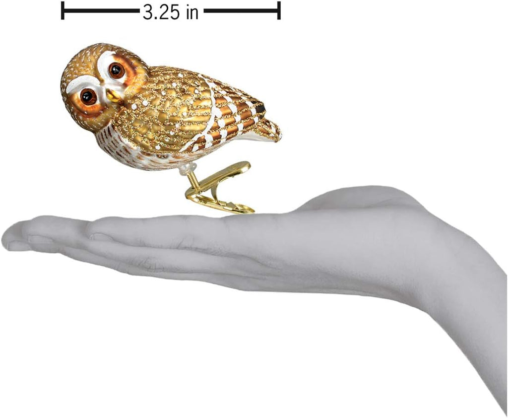 Pygmy Owl Glass Blown Ornament, Handcrafted Holiday Decoration, Owl Collection