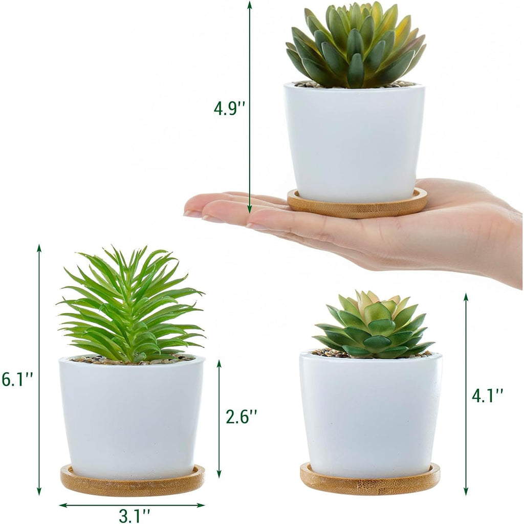 Mini Artificial Succulent Plants in Ceramic Pots, Set of 3