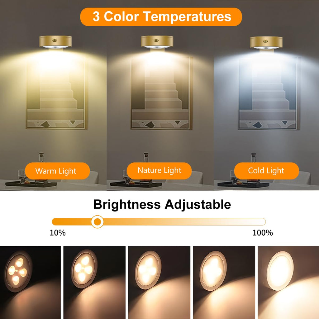 Battery Operated Picture Light Magnetic Painting Light with 3 Lighting Modes,Remote and Dimmable Timer Art