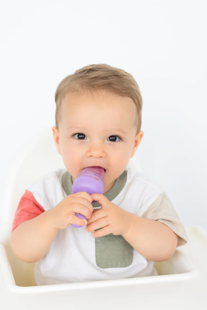 Baby Food Feeder and Freezer Tray Set, Silicone Fresh Food Feeder