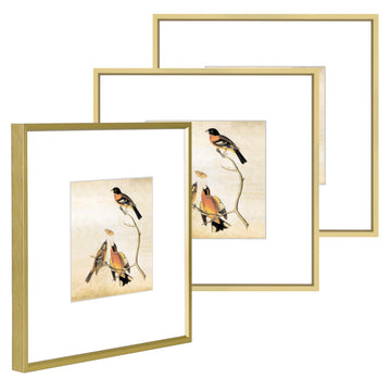 10x10 Brass Aluminum Picture Frame Fits 6x6 with Mat HD Glass 3 Pack