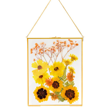 Brass Hanging Photo Frame, 11x14 Inch Double Glass Floating Display for Pressed Flowers, Large Picture Artwork