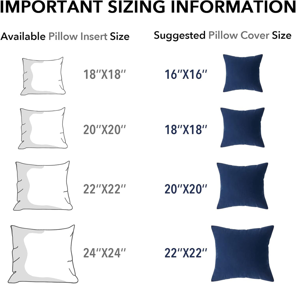 20 x 20 Throw Pillow Inserts - Set of 2