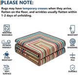 Multicolor Washable Outdoor Rug 8' x 10', Colorful, Stain Resistant, Easy Clean, Waterproof, Durable