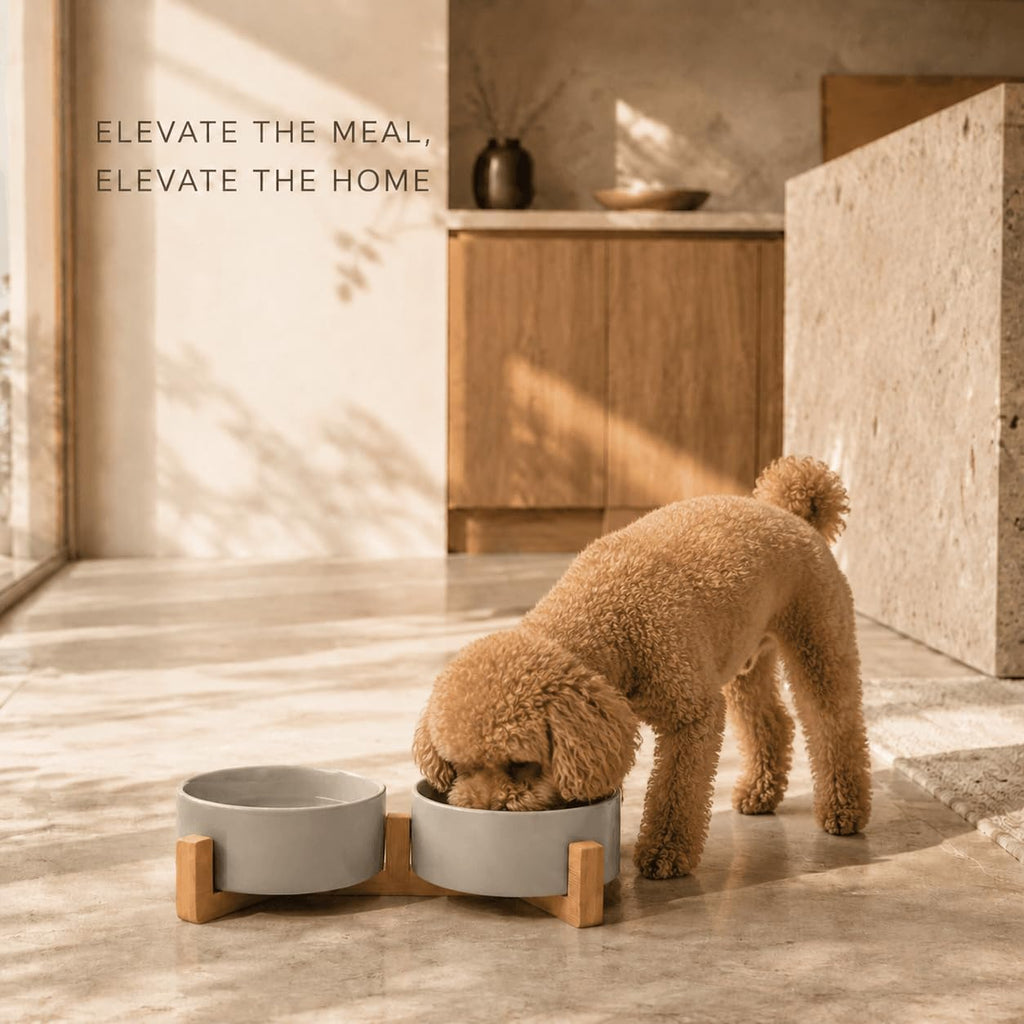 Ceramic Dog and Cat Bowl with Wood Stand Non-Slip Matte Glaze Weighted Food Water Set for Cats &Small Dogs 13.5OZ
