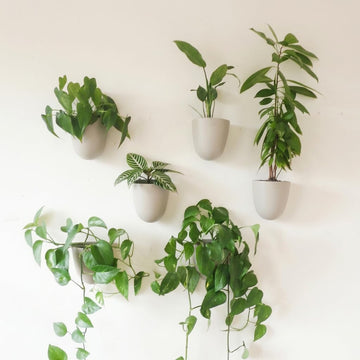 PlantPod Luxe - Self-Watering Wall Planters (Set of 6, Stone) - Easy to Water and Install - Lightweight - Design Your