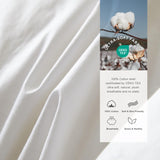 Premium Feathers Down Duvet Insert Comforter Oversized King All Season Medium Warmth White 100% Cott