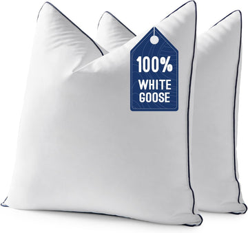 Goose Feather Down 20x20 Pillow Insert with 100% Down-Proof Cotton Cover, Soft Fluffy Decorative Pillow - Set of 2