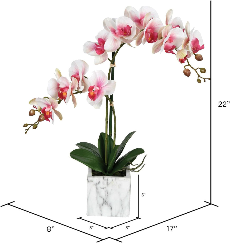 22" Indoor Artificial Pink and White Phalaenopsis Spray - Real Touch Petals - Decorative Ceramic Pot