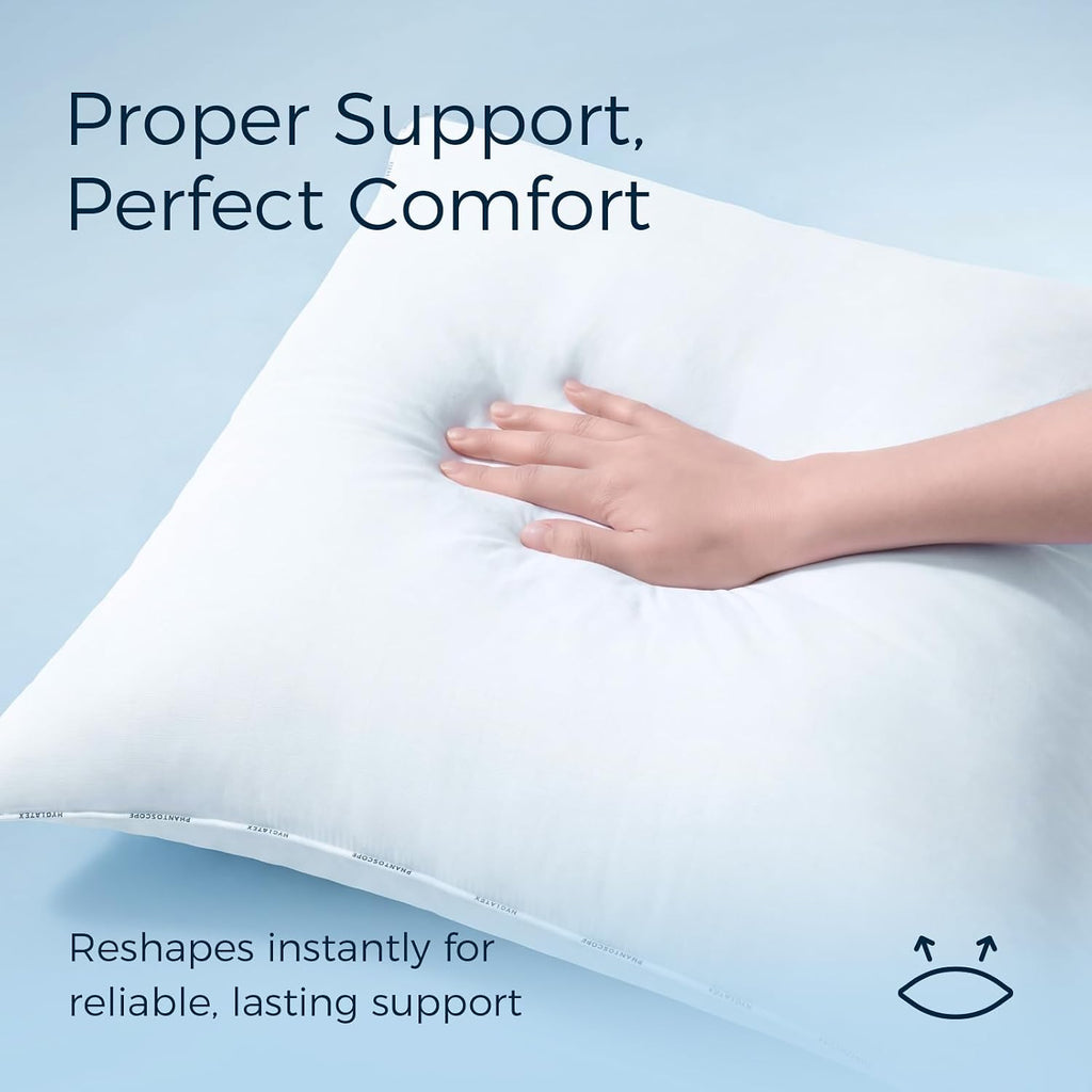 Hypoallergenic Throw Pillow Inserts, 18 x 18 - Set of 2