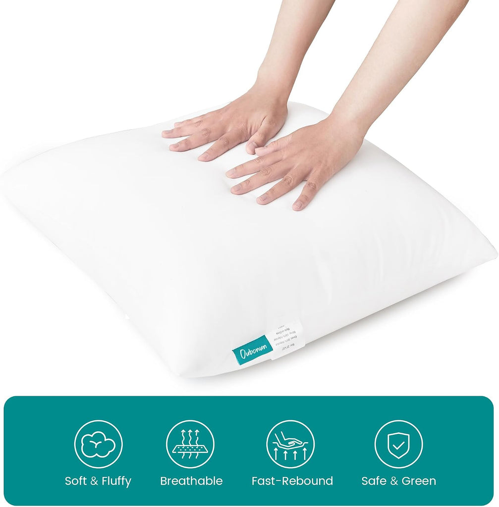 20 x 20 Throw Pillow Inserts - Set of 2