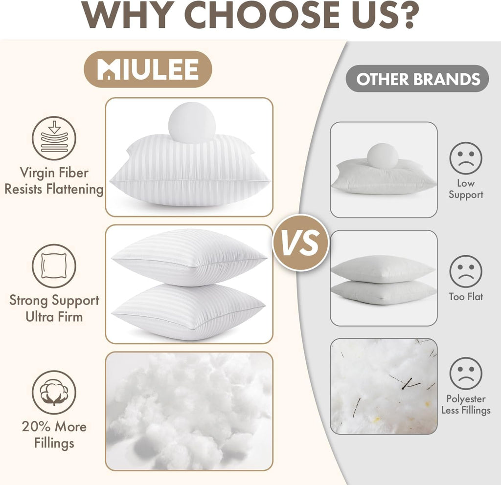 20x20 Throw Pillow Inserts, 100% Virgin Microfiber Filling - Set of 2