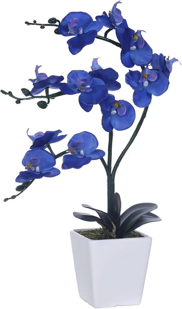 15" Silk Phalaenopsis Orchid in Square Pot, Navy Blue Flower Arrangements