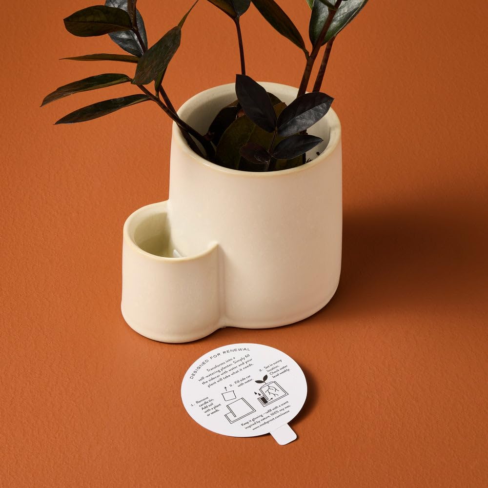 Ember Earth Soy Candle Planter - 8Oz w/50hr Burn -Pollination