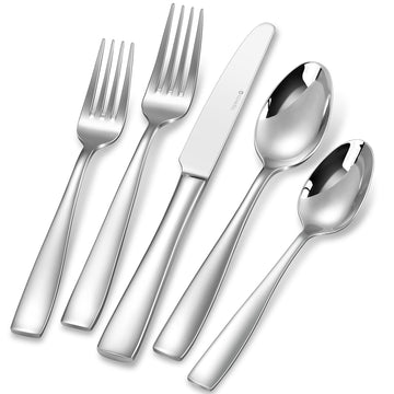 Premium Louis 20/45/65-Piece Silverware Set (45)