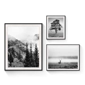 3 PCS Black White Natural Misty Mountain Gallery Framed Wall Art