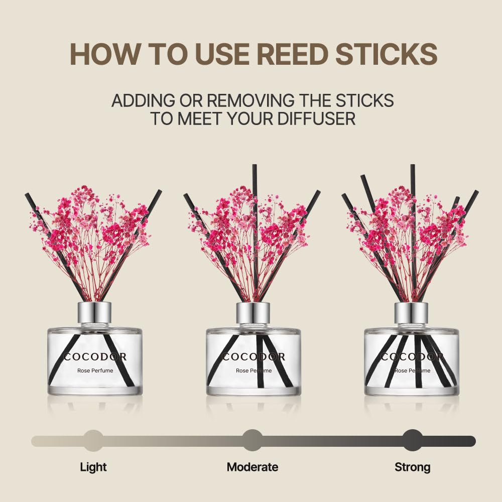 Preserved Flower Reed Diffuser Set / 6.7oz / Seoul Rose/Scent Diffuser with Sticks Home Fragrance Reed Diffuser Shelf