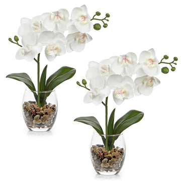 White Orchids Artificial Flowers with Vase, Small Faux Orchid Arrangement Set of 2 Fake Flowers in Glass Vases Small