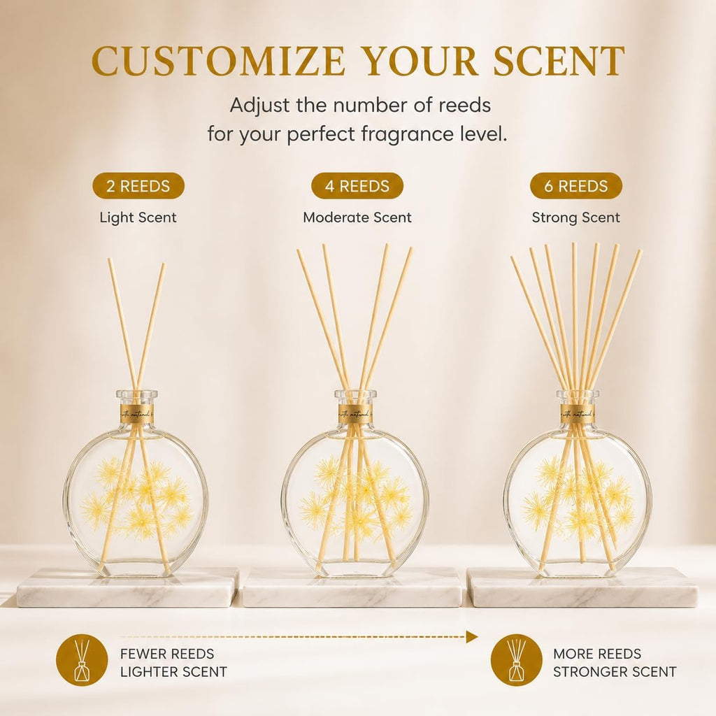 Citrus Reed Diffuser, 3.5 Fl Oz