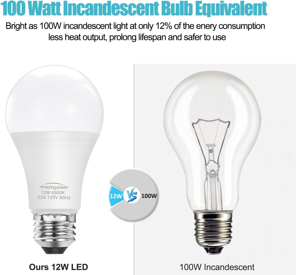 100W Equivalent E26 LED Bulbs, Daylight White 6500K