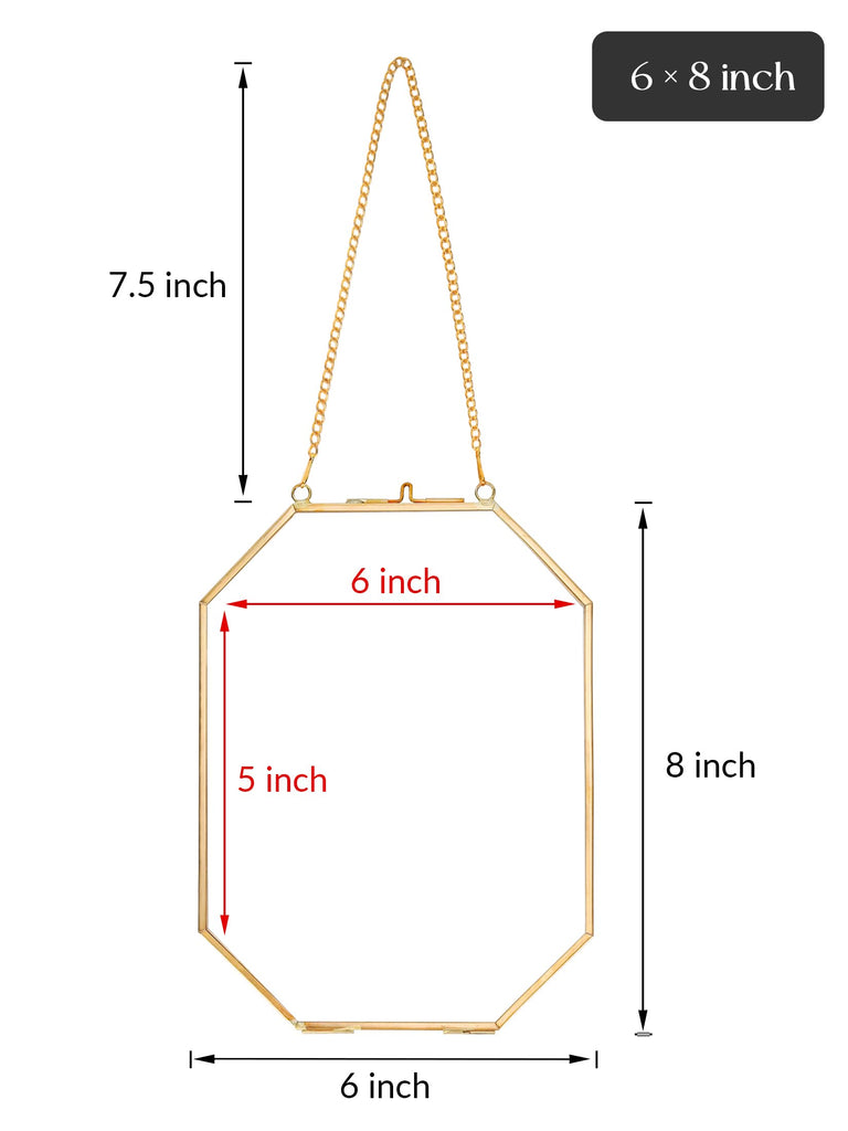 Pressed Flower Frames, Glass Floating Frames for Display Dried Plant Specimen Picture, Hanging Brass Photo Frame with
