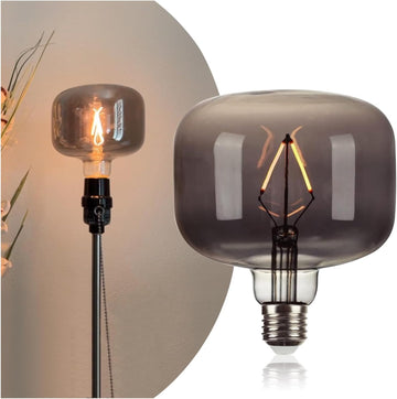 Large Edison Bulbs E26 LED,Smoky Grey 2200K Dimmable 20W Vintage 1PK