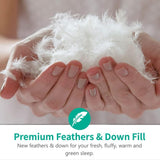 Organic Full Feathers Down Comforter - All Seasons 100% Cotton Quilted Duvet Insert