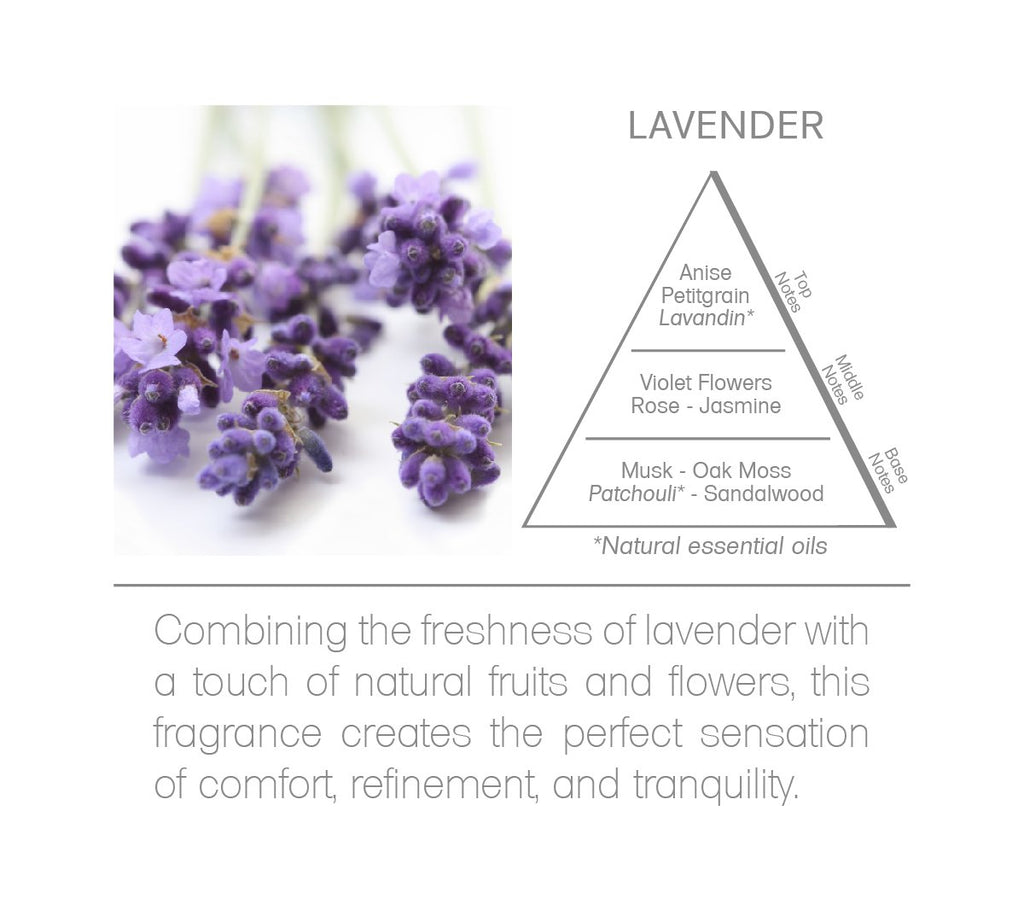 Lavender Reed Diffuser Oil Refill 6.8 FL OZ (200ml) Contains Essencial Oils Handcrafted Made in Brazil