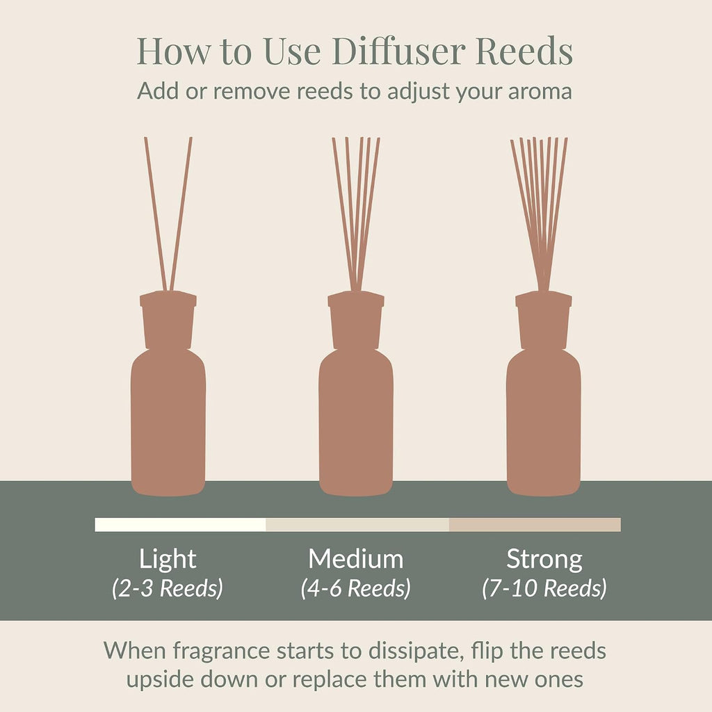 Black Forest Reed Diffuser Oil Refill, 7.85 fl oz - Set of 8