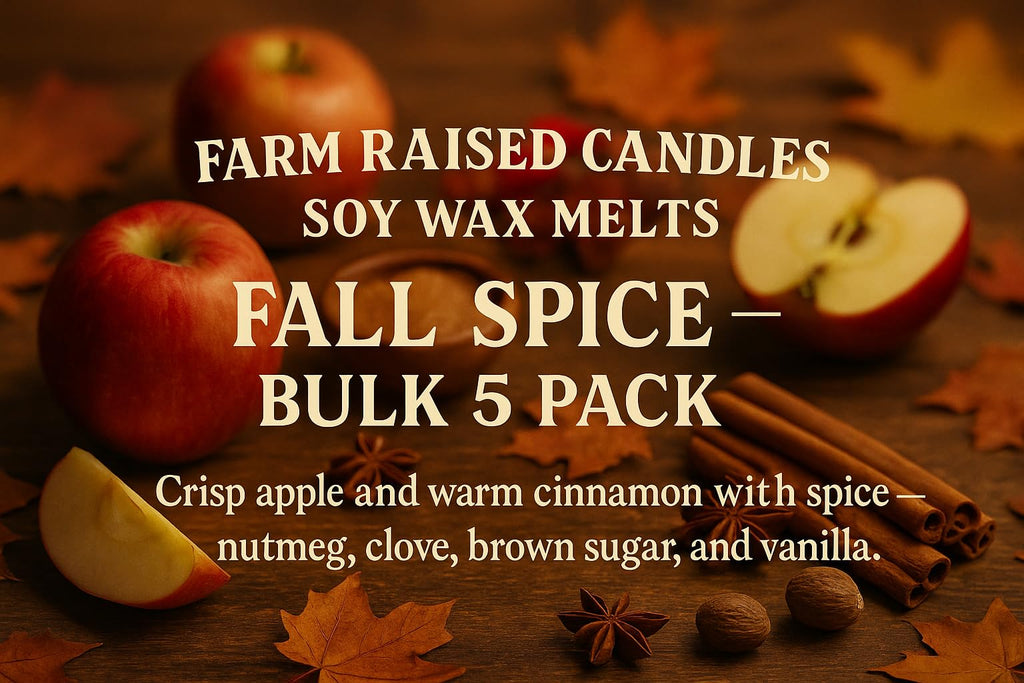 1 Pound - Fall Spice Wax Melts - American Made Soy - Hand Poured - Variety Pack, 5 Count