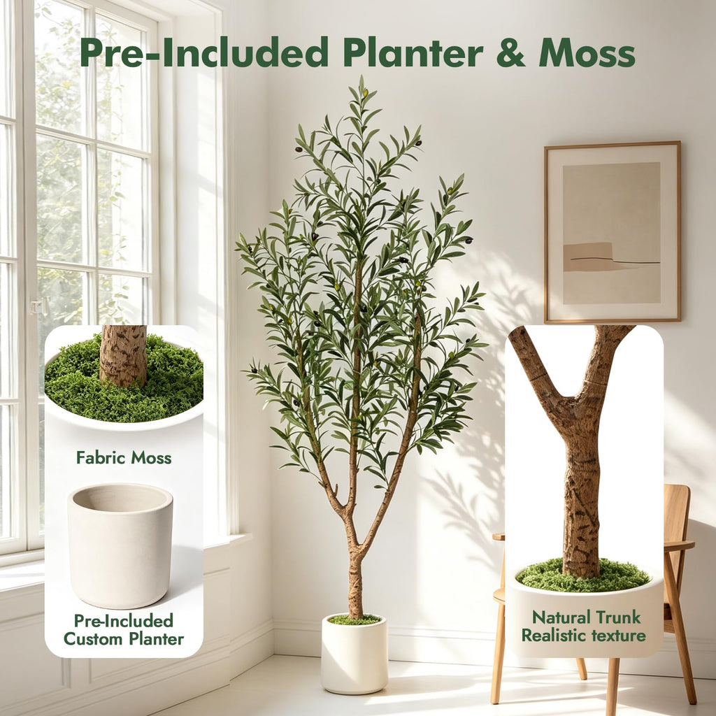 Olive Trees Artificial Indoor: 6FT Faux Olive Tree with White Tall Planter & Moss, Large Fake Plants with Natural