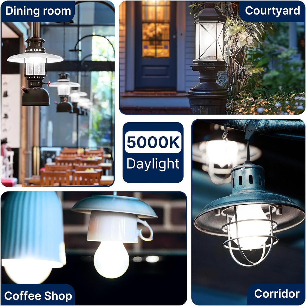 A19 LED Filament Bulbs, 100W Eqv, 1600LM, 5000K, E26 Base, 4 Pack