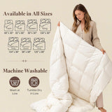 Luxury Down Feather Fiber Comforter Queen