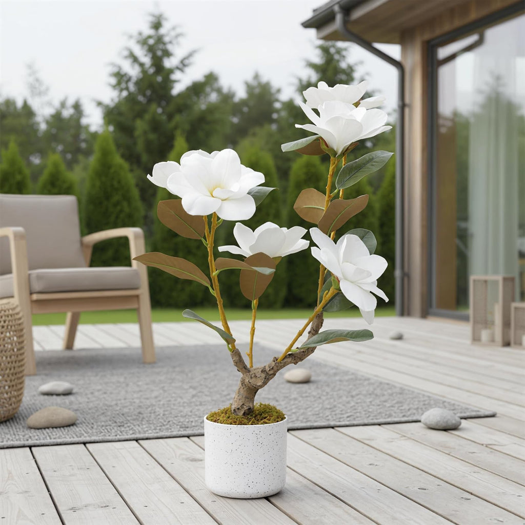 24" Artificial Magnolia Tree in White Planter, Realistic Magnolia Grandiflora with 6 Lifelike Flowers, Fake Potted