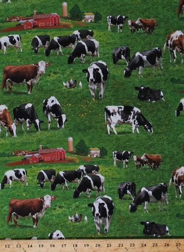 Cotton Cows Holstein Cattle Guernsey Scenic Fields Barns Country Farmhouses Farmers Dairy Farm Animals Green Cotton