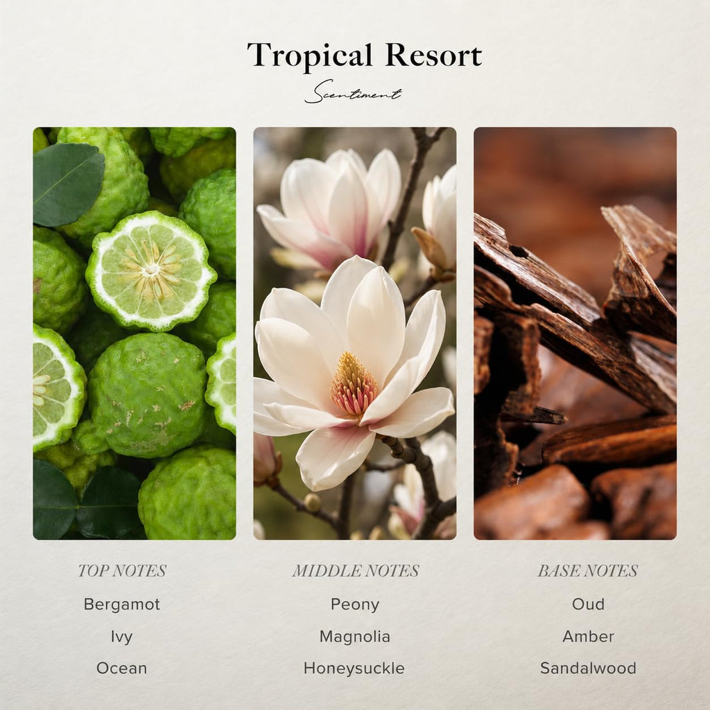 Tropical Resort Diffuser Oil - Fragrance Oil Refill - 0.68 fl oz