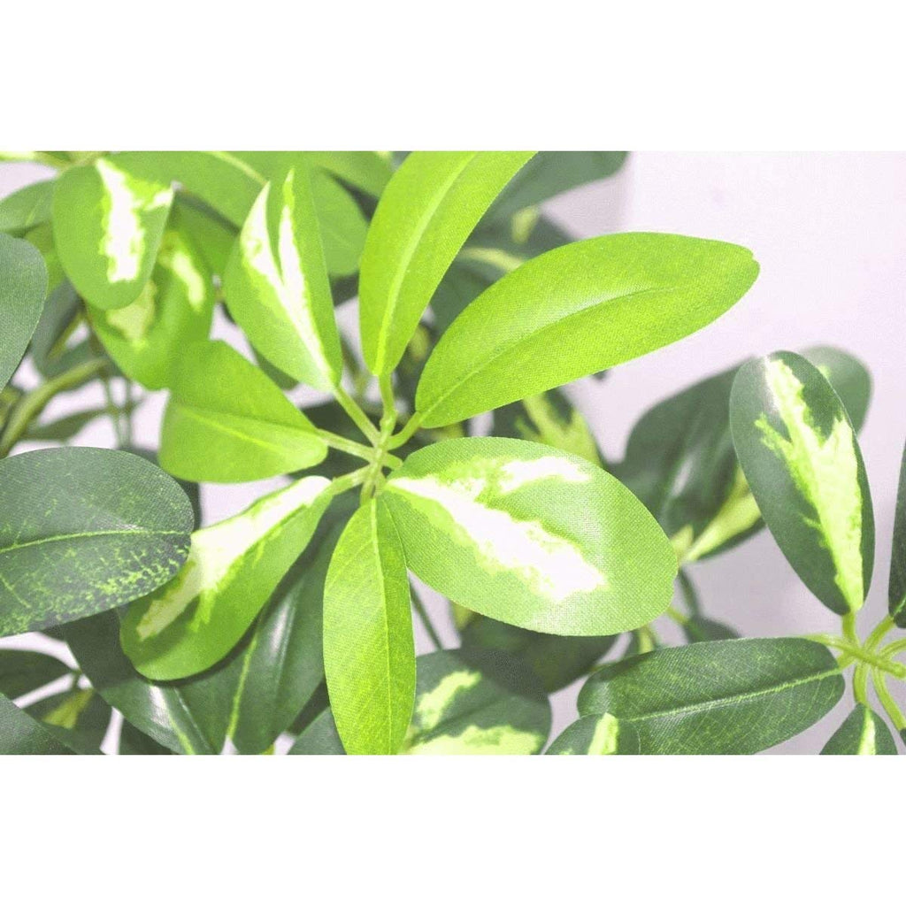 Artificial Schefflera Arboricola Foliage Plant (Umbrella Tree), Mixed Materials, Bonsai Twist, 70cm