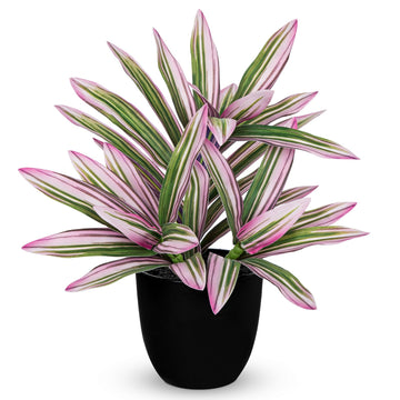 Fake Plants Dracaena Artificial Pink Plant in Pot Small Indoor Faux Plants