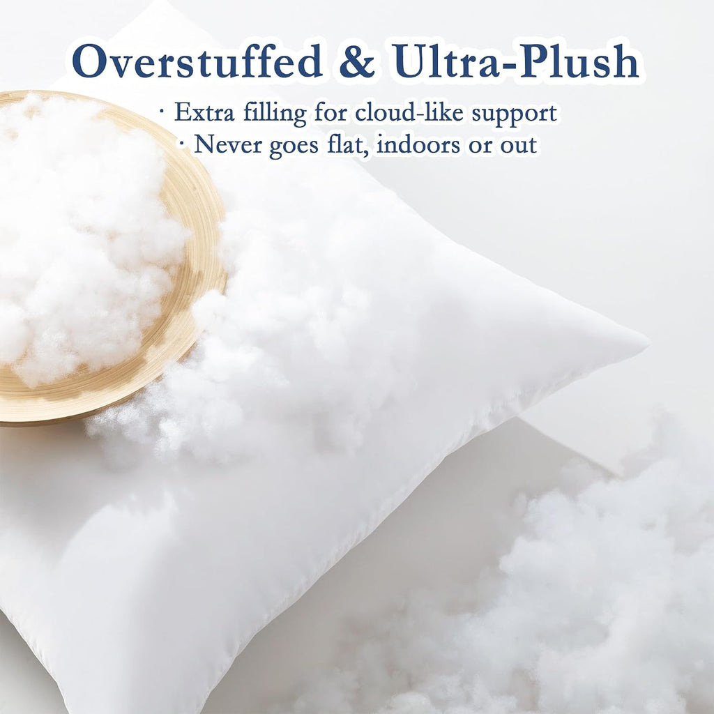 22x22 Outdoor Pillow Inserts, Down Alternative Filling - Set of 2