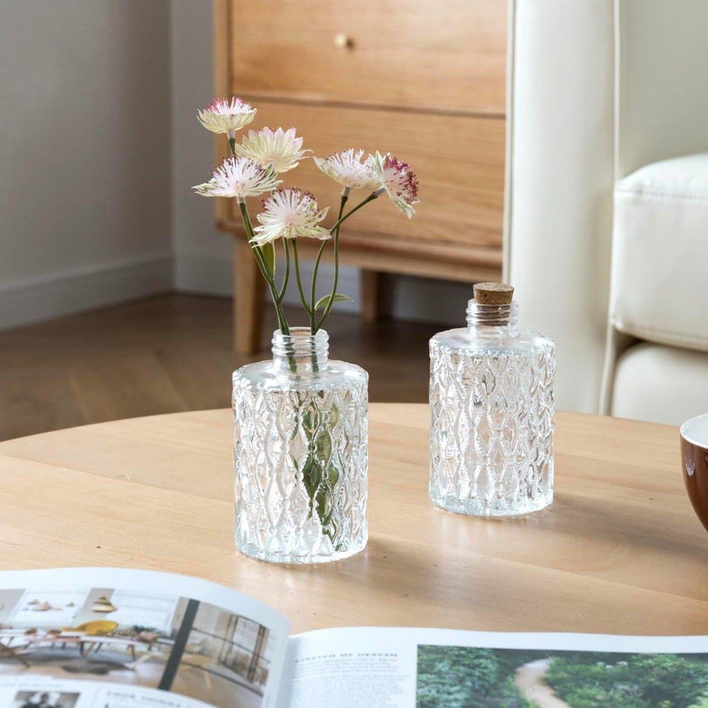 Clear Glass Reed Diffuser Bottles Vintage Apothecary Vases - Set of 2