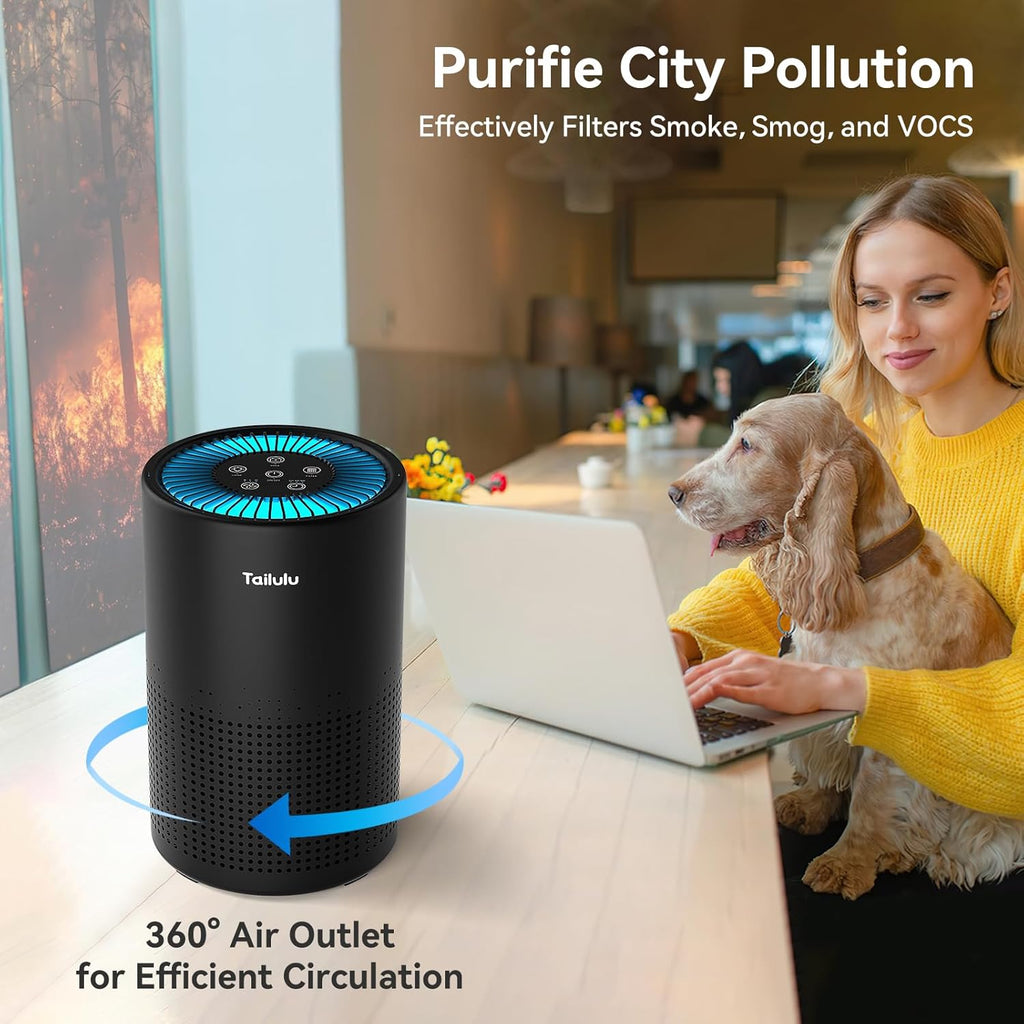 Air Purifiers for Bedroom Home, H14 True HEPA Air Purifier Filter, Quiet Air Cleaner With 12dB Sleep