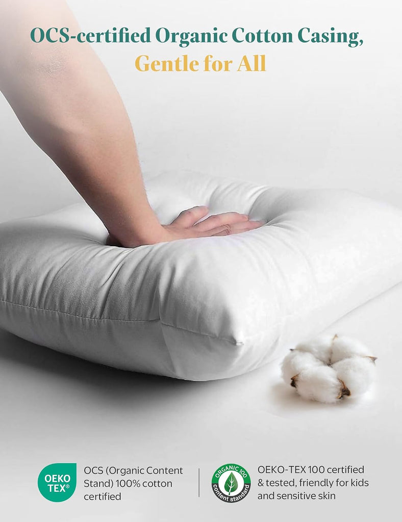 Goose Feather Down Throw Pillow Inserts 22x22 Inch - Set of 2