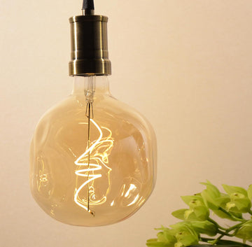 Oversized Decorative LED Light Bulb 6W 600LM E26 Dimmable 2200K, 1 Pack
