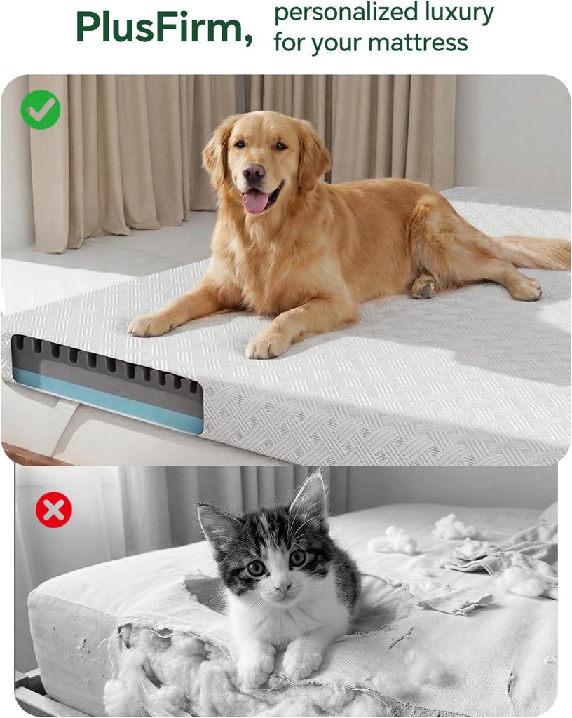 Queen Size Memory Foam Mattress Topper Bamboo Viscose for Pressure Relief | 3 inch Firm Mattress Pad DualSide, Back