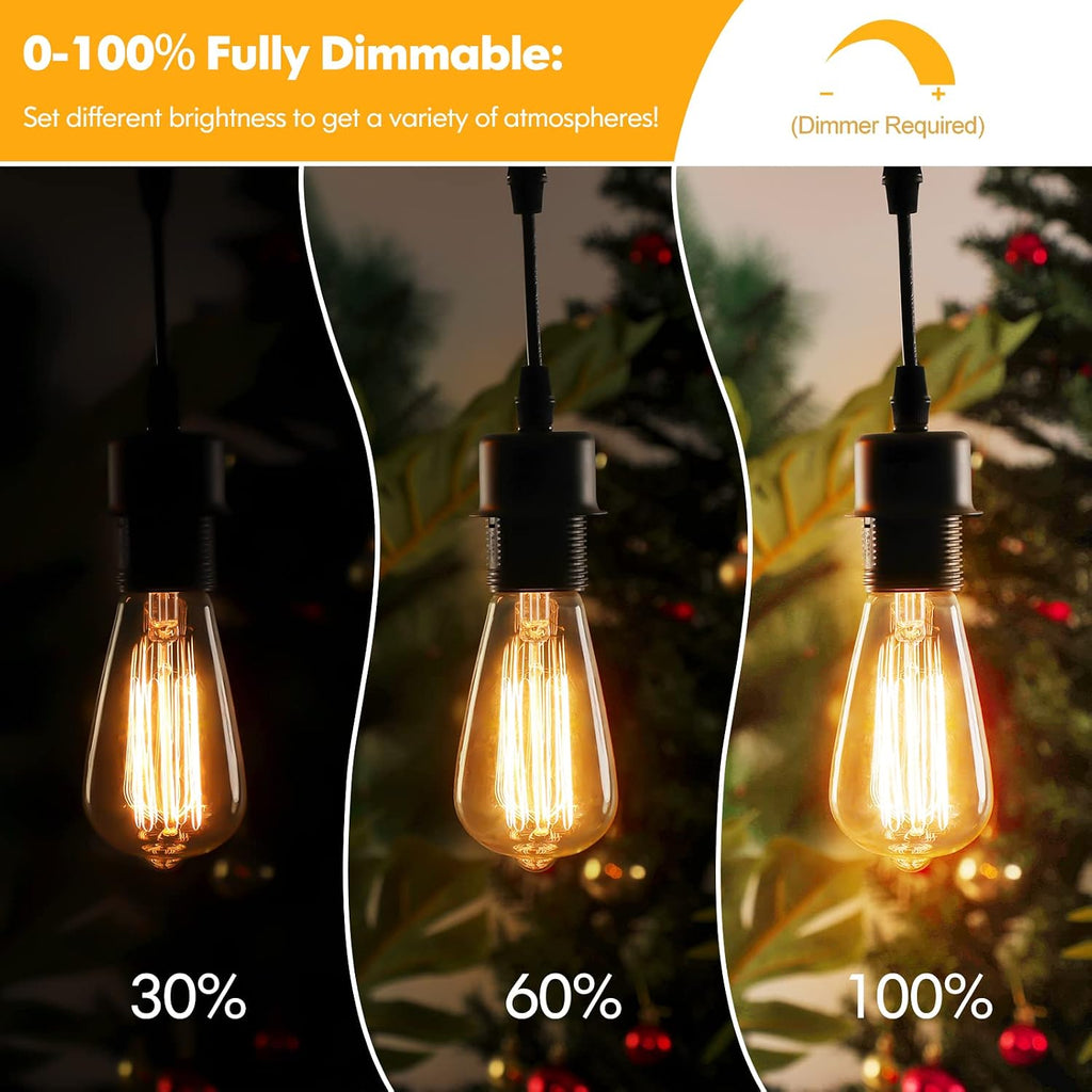 60 Watt Incandescent Edison Light Bulbs, Vintage Dimmable E26 Bulbs, ST64 2200K Warm White Antique 260LM E26 Medium