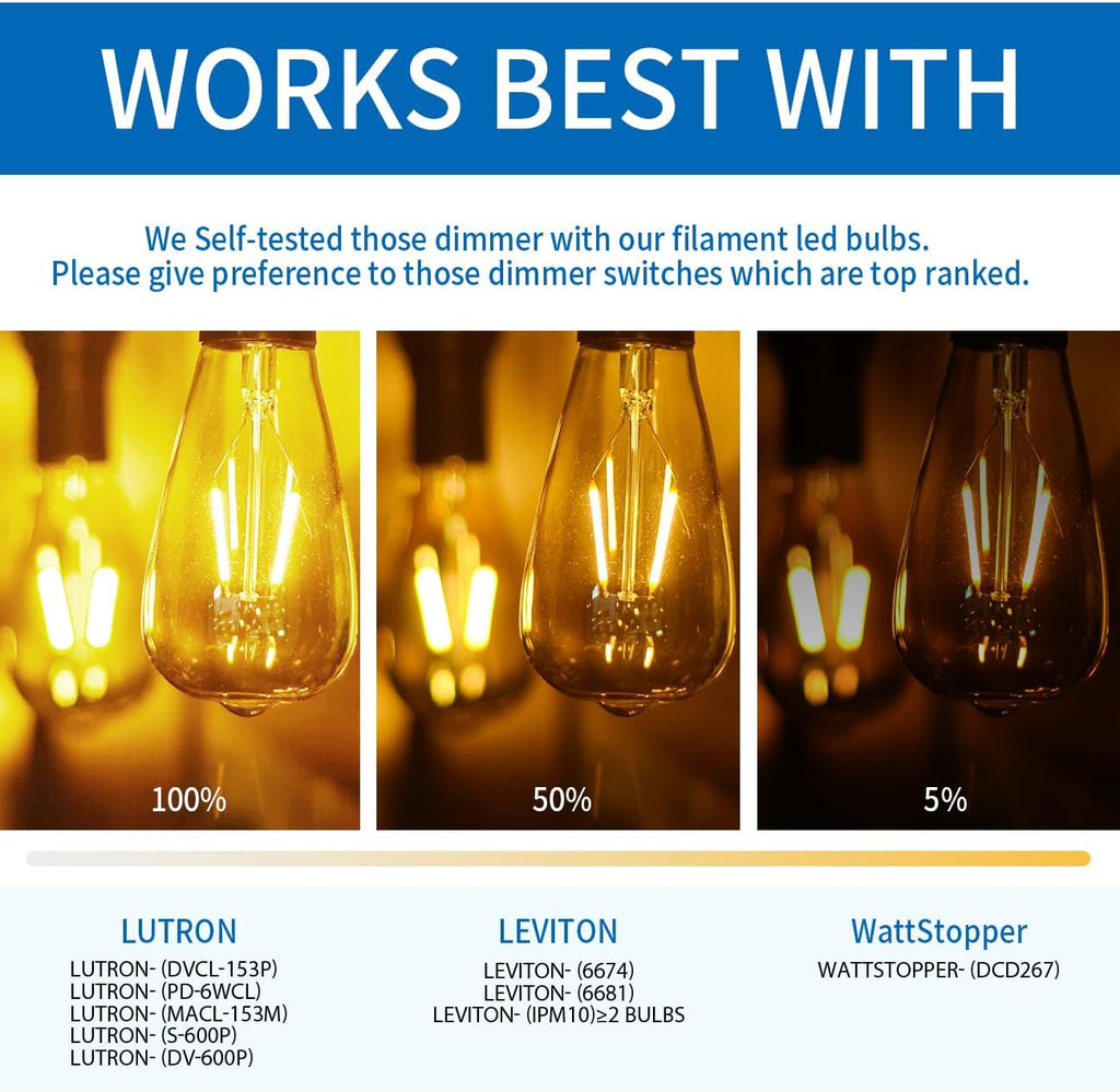 Clear ST21 LED Edison Light Bulb 5W=60W 500LM 2700K Warm White Bulb
