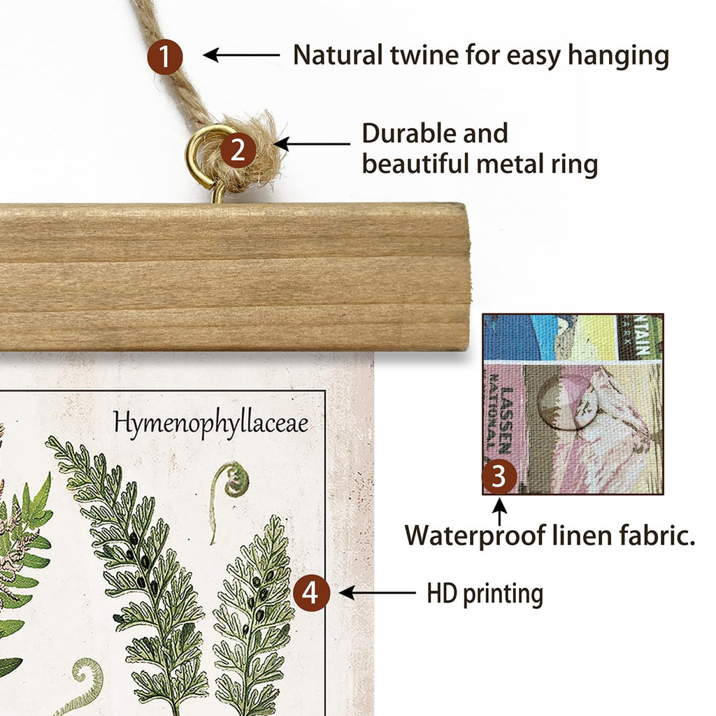 Botanical Fern Varieties Poster - Vintage Illustrated Guide with Wooden Frame - Educational Plant Wall Art, or