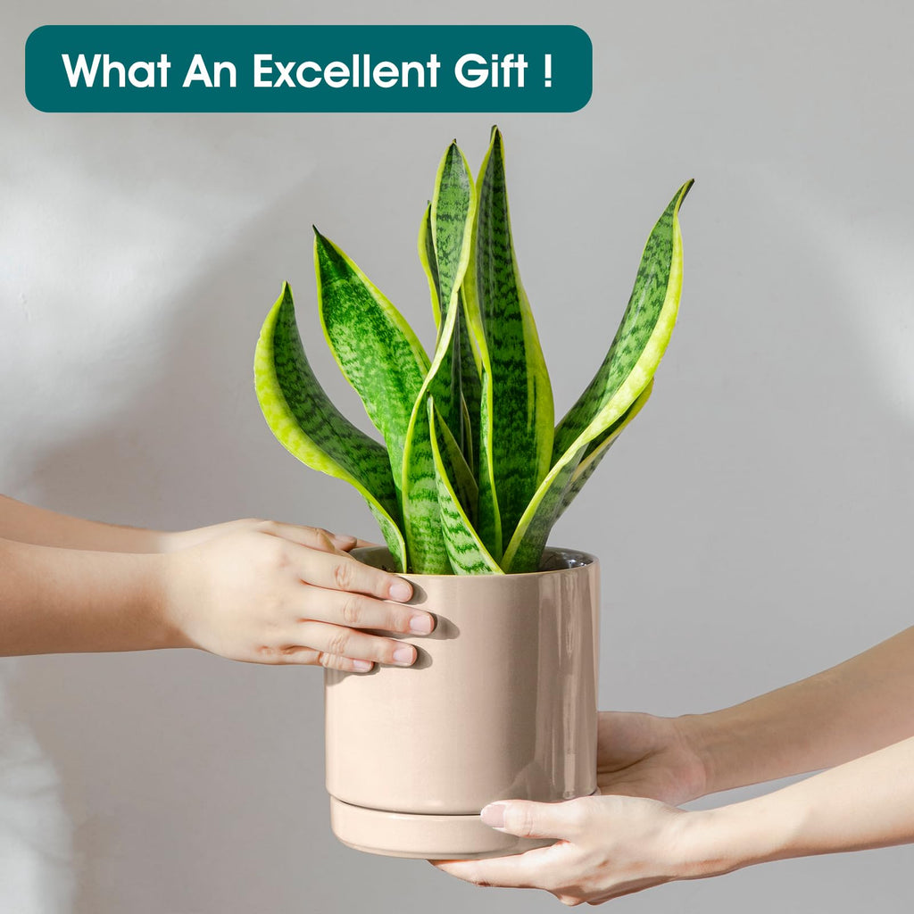 Ceramic Planters, Plant Pots for Indoor Plants, 6.25+8.25+10.25 Inch Ceramic Pots for Plants, Flower Pots with