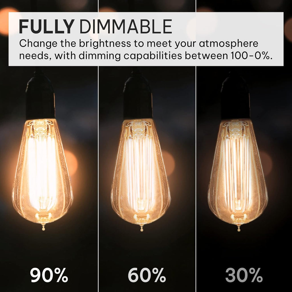 Vintage Edison Incandescent 60W 12-Pack Light Bulbs - Antique ST64 Dimmable 2100K Warm Decorative Squirrel Filament